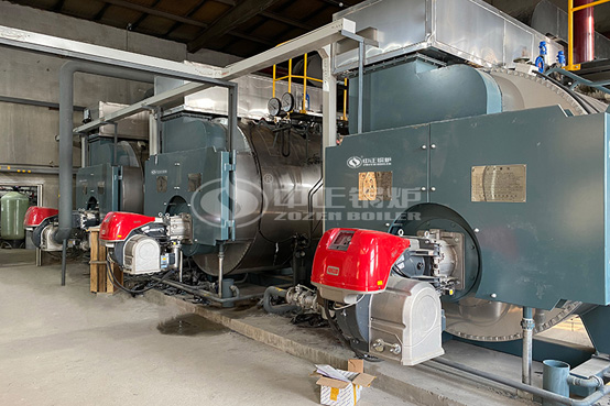 吉林德達6噸WNS系列兩回燃氣蒸汽鍋爐項目